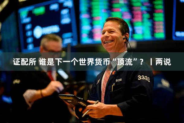 证配所 谁是下一个世界货币“顶流”？丨两说